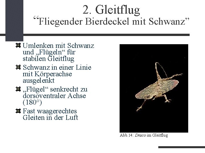2. Gleitflug “Fliegender Bierdeckel mit Schwanz” Umlenken mit Schwanz und „Flügeln“ für stabilen Gleitflug