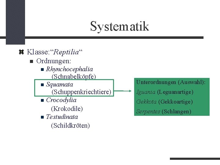 Systematik Klasse: “Reptilia“ Ordnungen: Rhynchocephalia (Schnabelköpfe) Squamata (Schuppenkriechtiere) Crocodylia (Krokodile) Testudinata (Schildkröten) Unterordnungen (Auswahl):