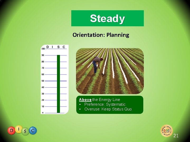 Steady Orientation: Planning Above the Energy Line • Preference: Systematic • Overuse: Keep Status