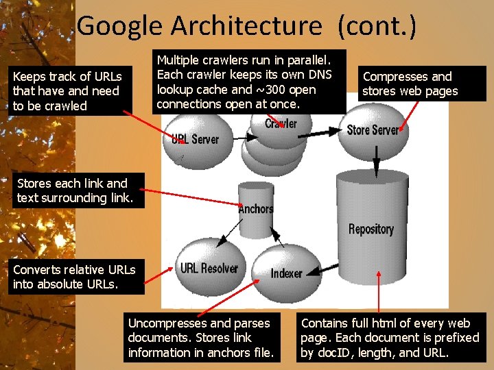 Google Architecture (cont. ) Multiple crawlers run in parallel. Each crawler keeps its own