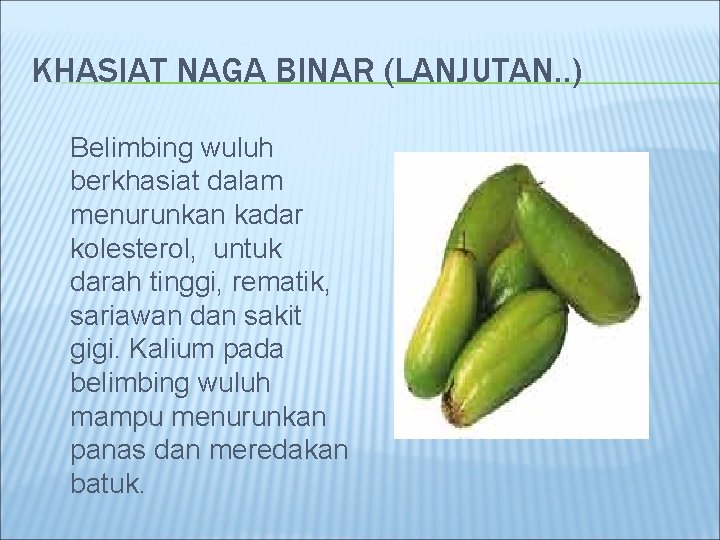 KHASIAT NAGA BINAR (LANJUTAN. . ) Belimbing wuluh berkhasiat dalam menurunkan kadar kolesterol, untuk