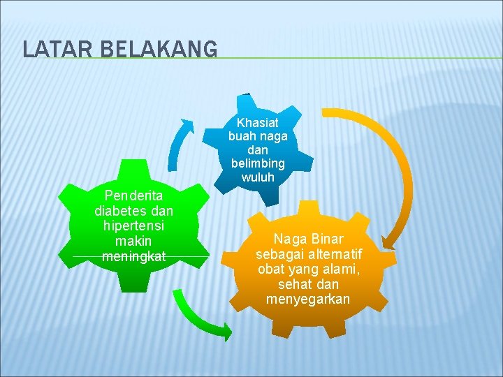 LATAR BELAKANG Khasiat buah naga dan belimbing wuluh Penderita diabetes dan hipertensi makin meningkat