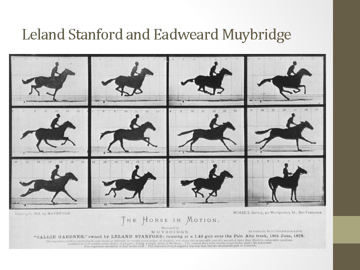 Leland Stanford and Eadweard Muybridge 