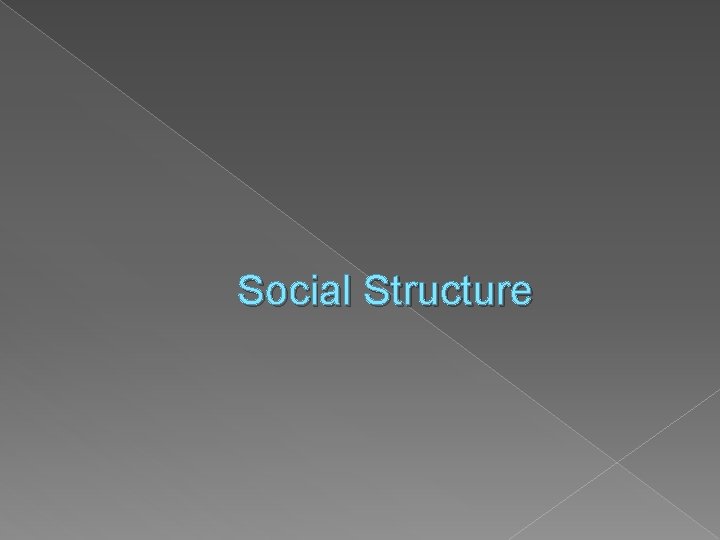 Social Structure 