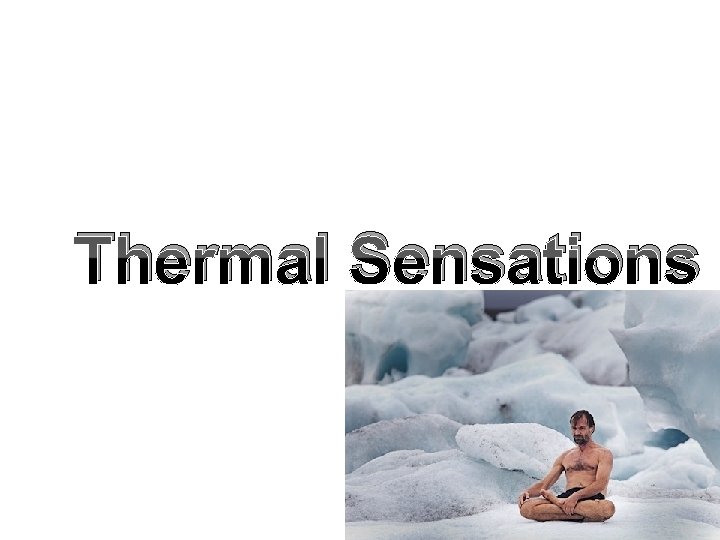 Thermal Sensations 