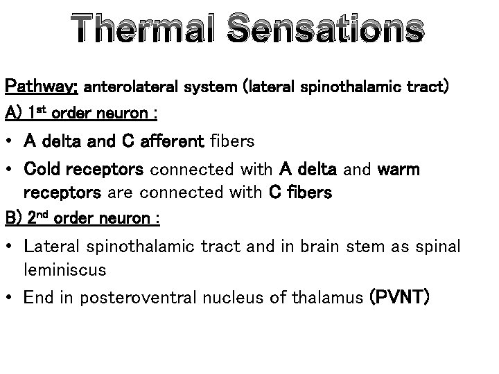 Thermal Sensations Pathway: anterolateral system (lateral spinothalamic tract) A) 1 st order neuron :