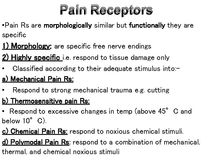 Pain Receptors • Pain Rs are morphologically similar but functionally they are specific 1)