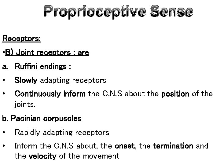 Proprioceptive Sense Receptors: • B) Joint receptors : are a. Ruffini endings : •