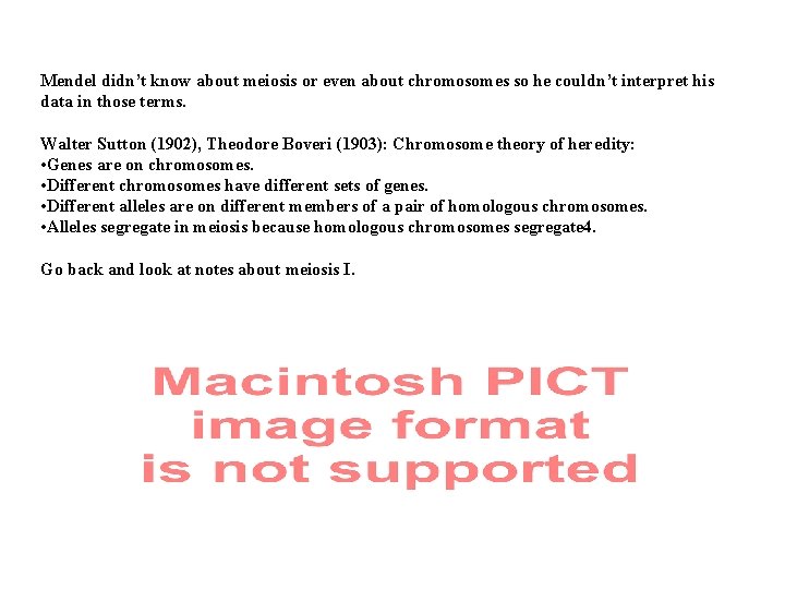 Mendel didn’t know about meiosis or even about chromosomes so he couldn’t interpret his