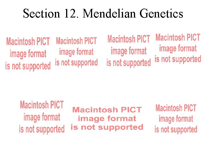 Section 12. Mendelian Genetics 