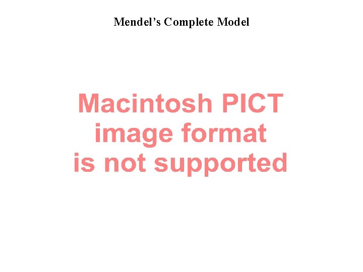 Mendel’s Complete Model 