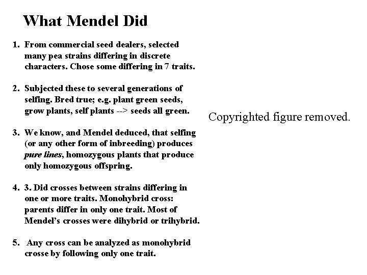 What Mendel Did 1. From commercial seed dealers, selected many pea strains differing in