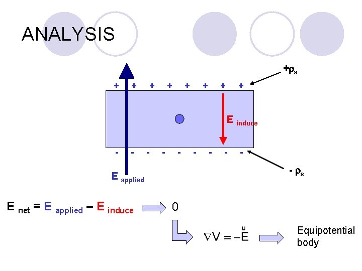 ANALYSIS +rs + + + + E induce - - - - - rs