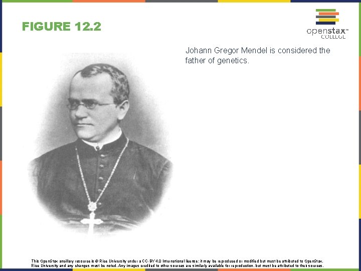 FIGURE 12. 2 Johann Gregor Mendel is considered the father of genetics. This Open.