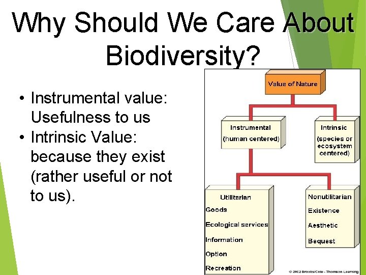 Why Should We Care About Biodiversity? • Instrumental value: Usefulness to us • Intrinsic