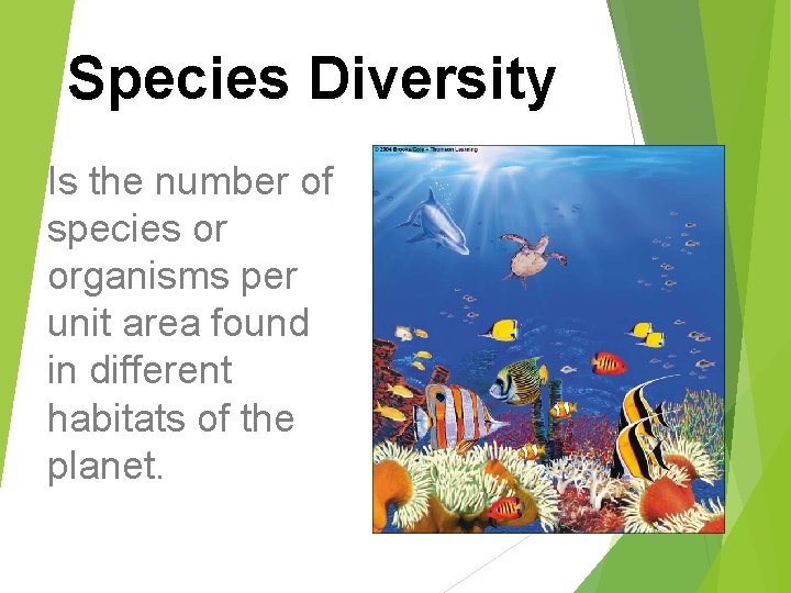 Species Diversity Is the number of species or organisms per unit area found in