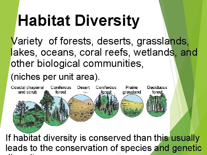 Habitat Diversity Variety of forests, deserts, grasslands, lakes, oceans, coral reefs, wetlands, and other