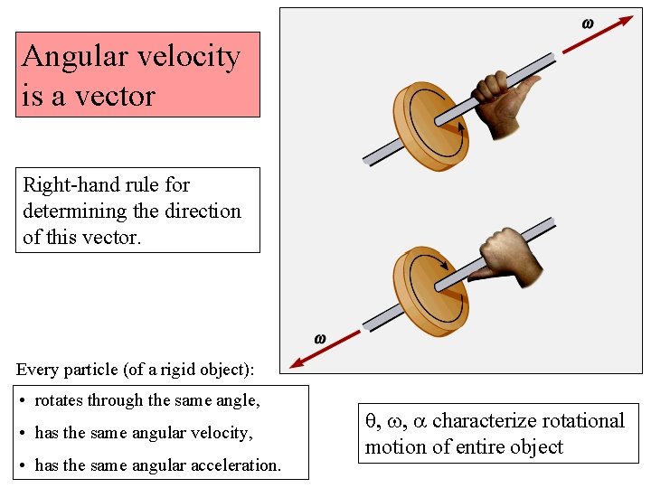 Angular velocity is a vector Right-hand rule for determining the direction of this vector.
