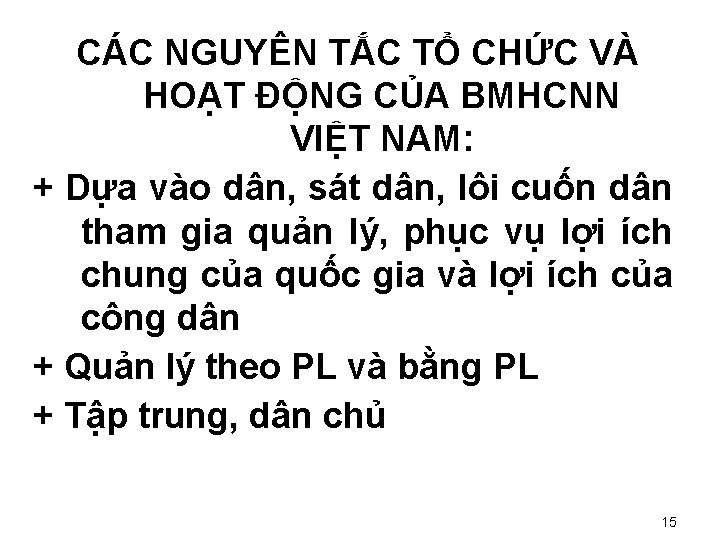 CÁC NGUYÊN TẮC TỔ CHỨC VÀ HOẠT ĐỘNG CỦA BMHCNN VIỆT NAM: + Dựa