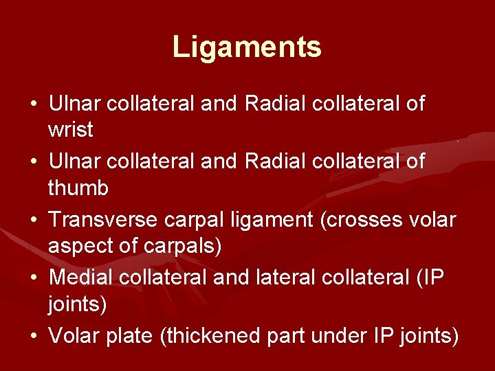 Ligaments • Ulnar collateral and Radial collateral of wrist • Ulnar collateral and Radial Ligaments • Ulnar collateral and Radial collateral of wrist • Ulnar collateral and Radial