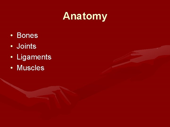 Anatomy • • Bones Joints Ligaments Muscles 