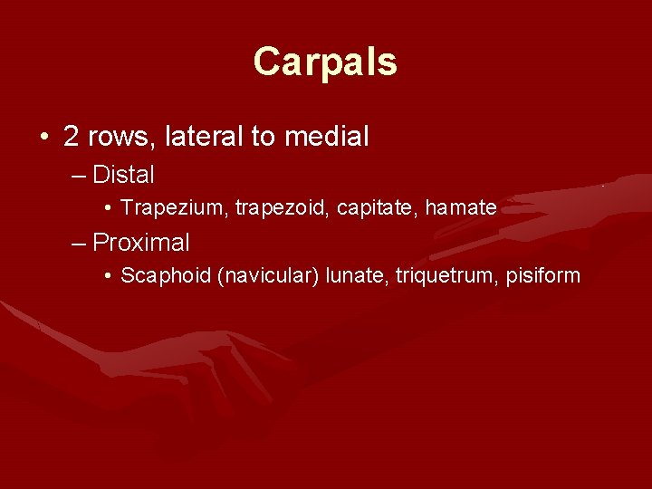 Carpals • 2 rows, lateral to medial – Distal • Trapezium, trapezoid, capitate, hamate Carpals • 2 rows, lateral to medial – Distal • Trapezium, trapezoid, capitate, hamate