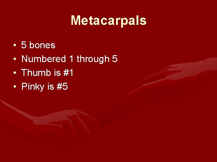 Metacarpals • • 5 bones Numbered 1 through 5 Thumb is #1 Pinky is Metacarpals • • 5 bones Numbered 1 through 5 Thumb is #1 Pinky is
