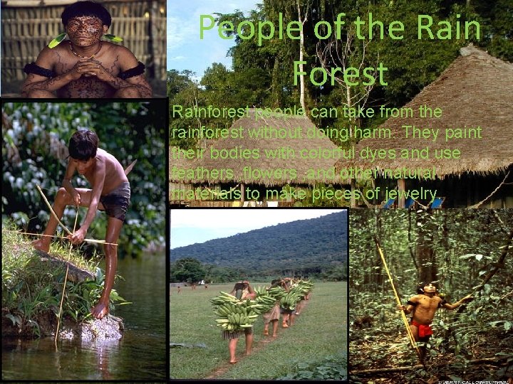 People of the Rain Forest Rainforest people can take from the rainforest without doing