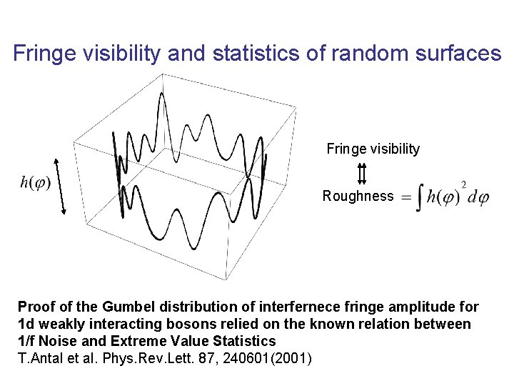 Fringe visibility and statistics of random surfaces Fringe visibility Roughness Proof of the Gumbel