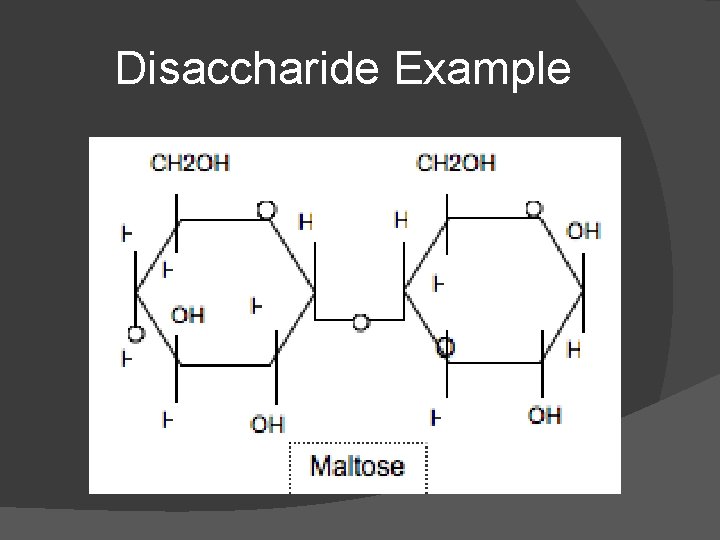 Disaccharide Example Disaccharide Example