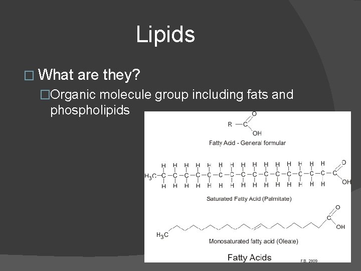 Lipids � What are they? �Organic molecule group including fats and phospholipids Lipids � What are they? �Organic molecule group including fats and phospholipids