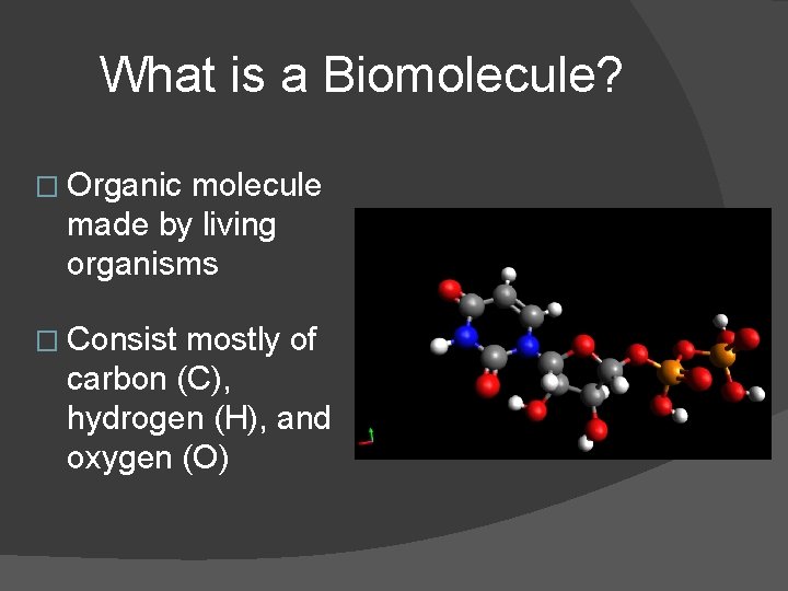 What is a Biomolecule? � Organic molecule made by living organisms � Consist mostly What is a Biomolecule? � Organic molecule made by living organisms � Consist mostly