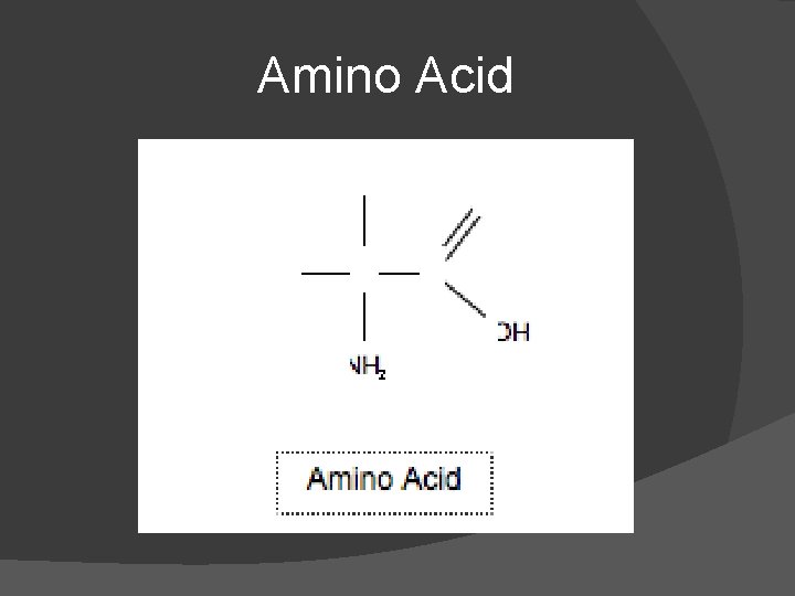 Amino Acid Amino Acid