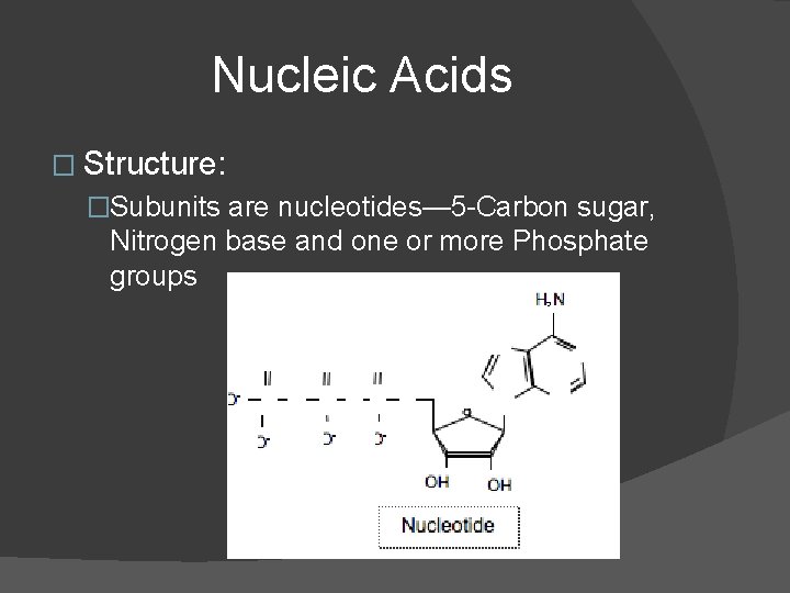Nucleic Acids � Structure: �Subunits are nucleotides— 5 -Carbon sugar, Nitrogen base and one Nucleic Acids � Structure: �Subunits are nucleotides— 5 -Carbon sugar, Nitrogen base and one