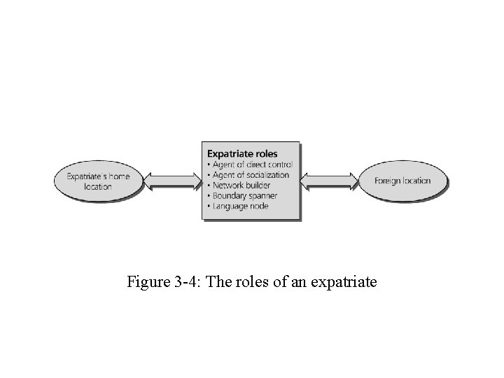 Figure 3 -4: The roles of an expatriate 