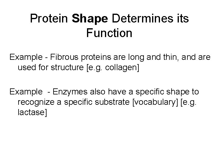 Protein Shape Determines its Function Example - Fibrous proteins are long and thin, and