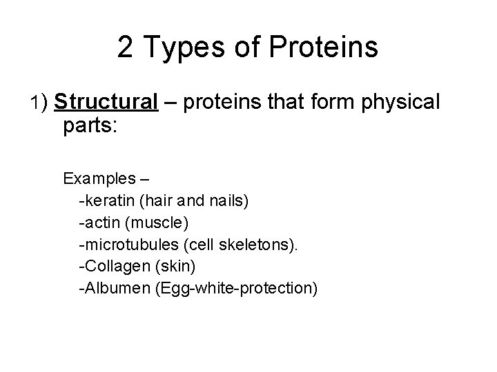 2 Types of Proteins 1) Structural – proteins that form physical parts: Examples –