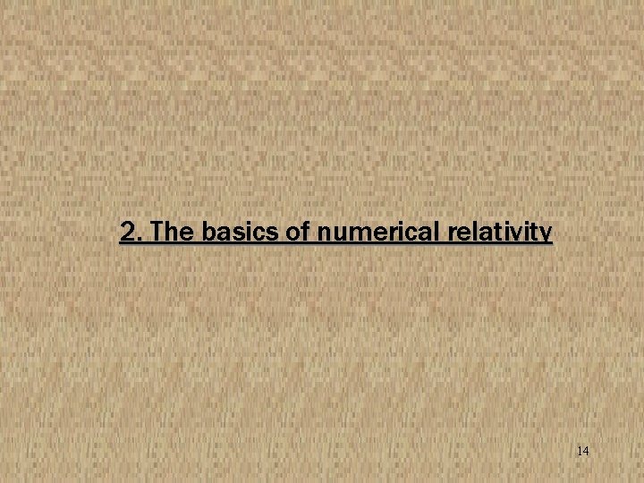 2. The basics of numerical relativity 14 