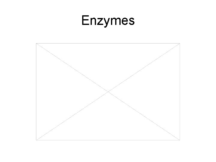 Enzymes 
