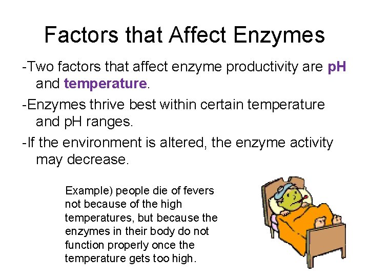 Factors that Affect Enzymes -Two factors that affect enzyme productivity are p. H and