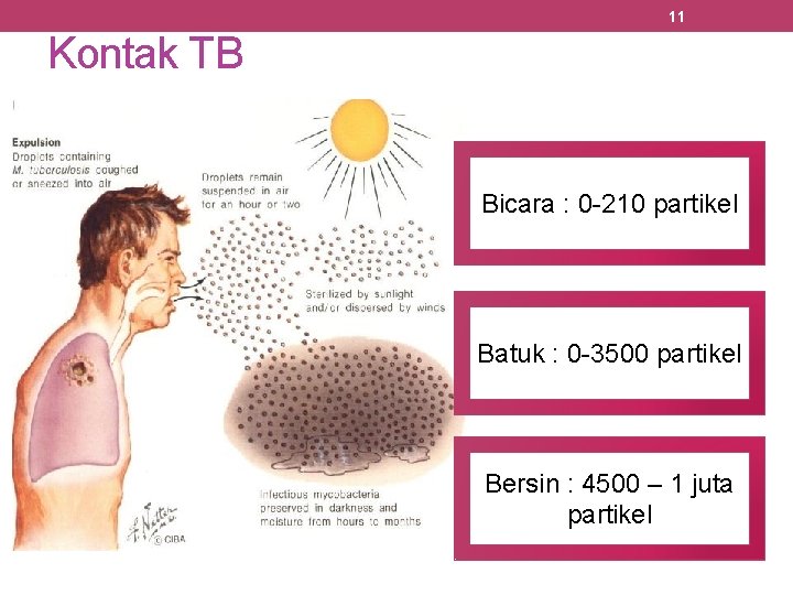 11 Kontak TB Bicara : 0 -210 partikel Batuk : 0 -3500 partikel Bersin