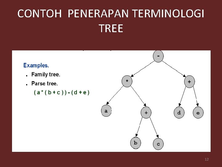 CONTOH PENERAPAN TERMINOLOGI TREE 12 