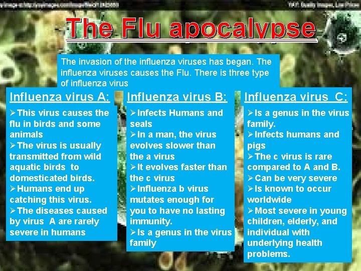 The Flu apocalypse The invasion of the influenza viruses has began. The influenza viruses