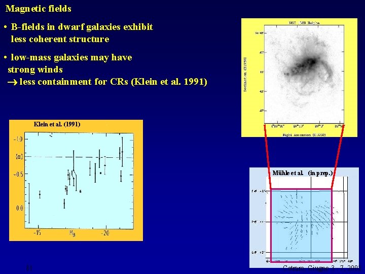 Magnetic fields • B-fields in dwarf galaxies exhibit less coherent structure • low-mass galaxies