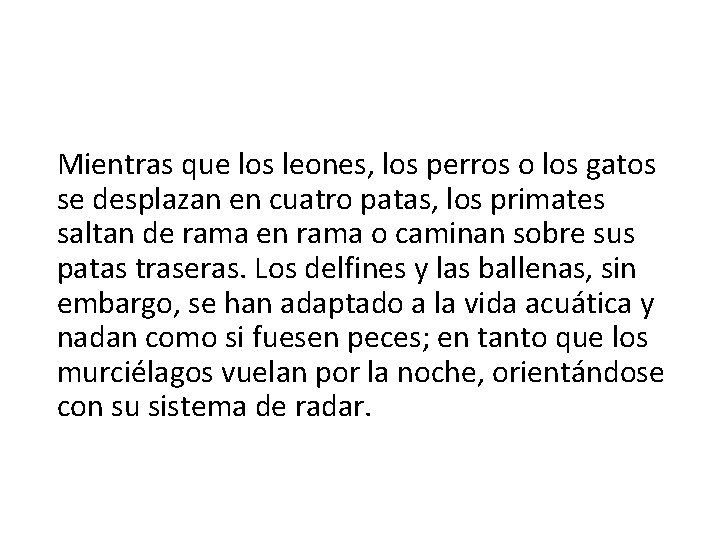 Mientras que los leones, los perros o los gatos se desplazan en cuatro patas,