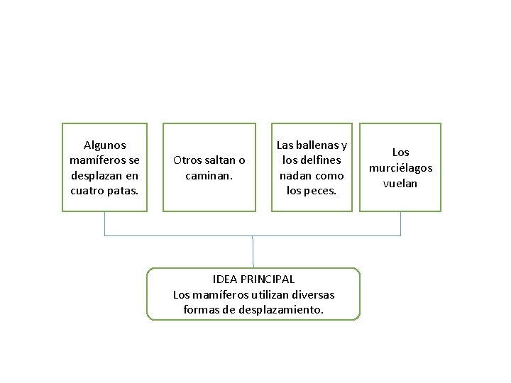 Algunos mamíferos se desplazan en cuatro patas. Otros saltan o caminan. Las ballenas y