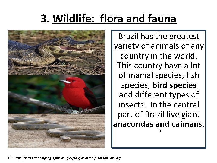 3. Wildlife: flora and fauna Brazil has the greatest variety of animals of any