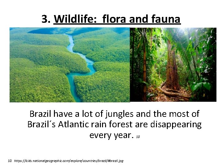 3. Wildlife: flora and fauna Brazil have a lot of jungles and the most