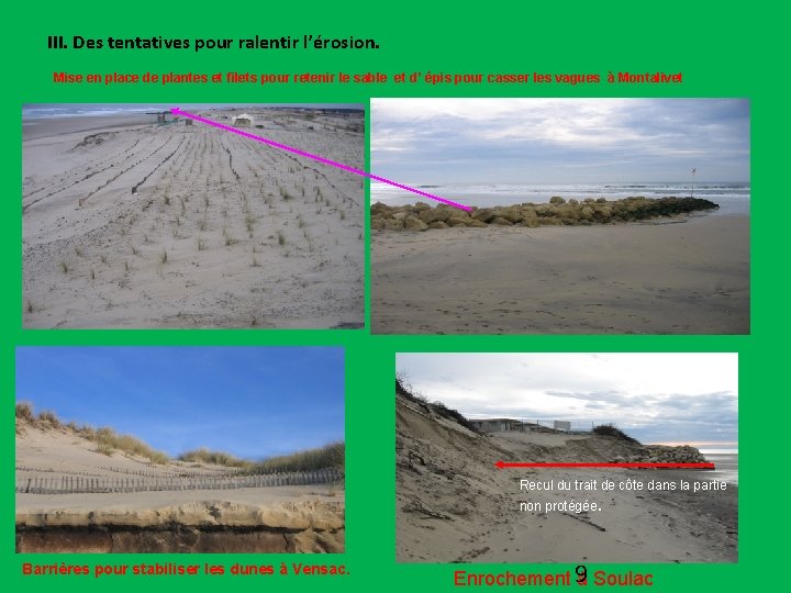 III. Des tentatives pour ralentir l’érosion. Mise en place de plantes et filets pour