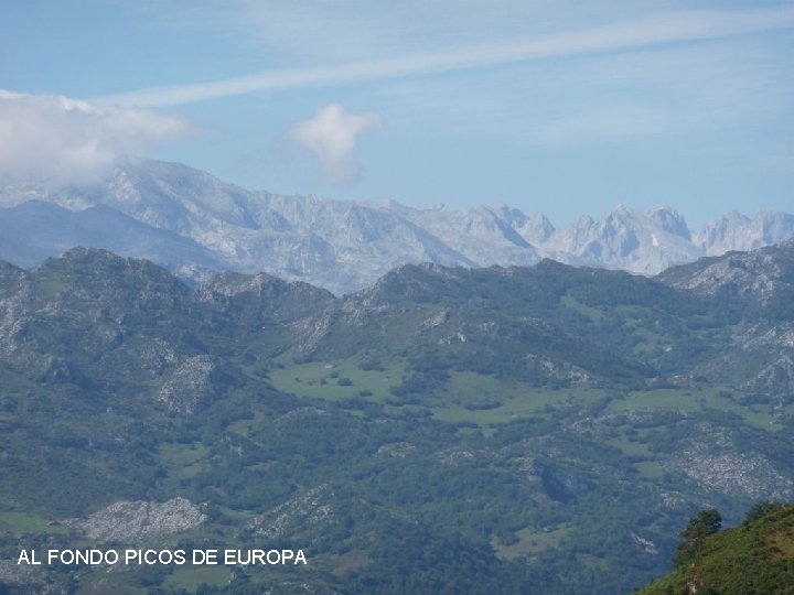 AL FONDO PICOS DE EUROPA 